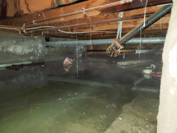 Best Water damage restoration experts  in Atglen, PA