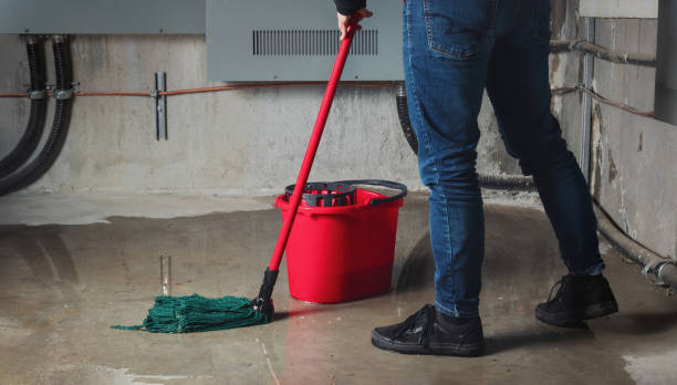 Best Flood damage cleanup  in Atglen, PA