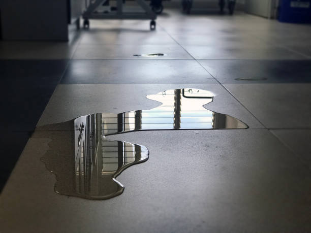 Best Professional water damage repair  in Atglen, PA