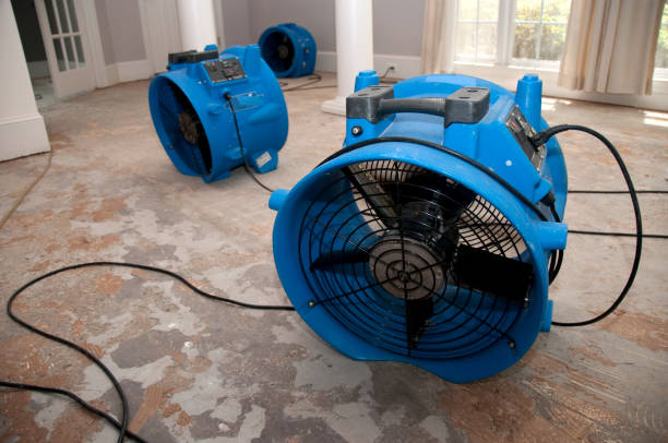 Best Professional water damage repair  in Atglen, PA