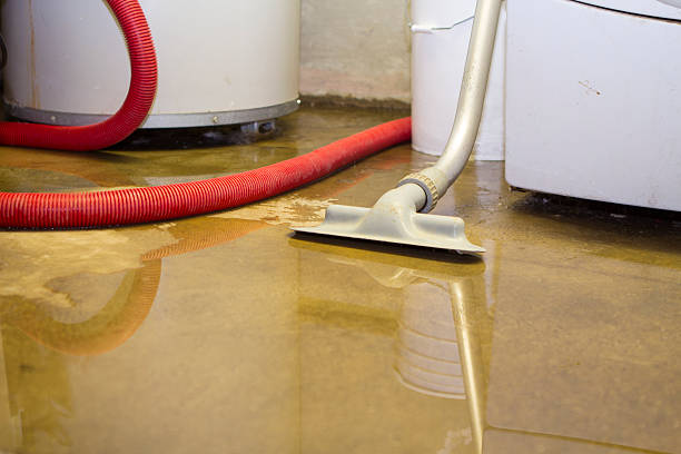 Best Flooded house restoration  in Atglen, PA